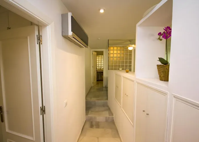 Canovas - Huertos De Loft Nerja